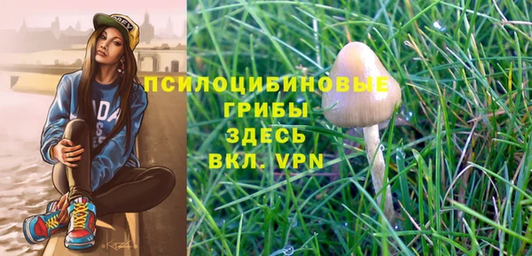ГАЛЛЮЦИНОГЕННЫЕ ГРИБЫ Абаза