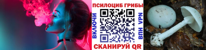 Галлюциногенные грибы мицелий  Анадырь 