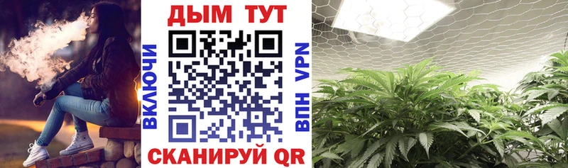 Бошки Шишки LSD WEED  купить наркотики сайты  Анадырь 